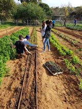 Image may contain: one or more people, tree, plant, outdoor and nature